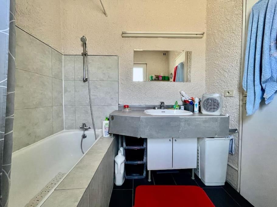 Apartment 4-6pers-piscine-parc Arbore *
