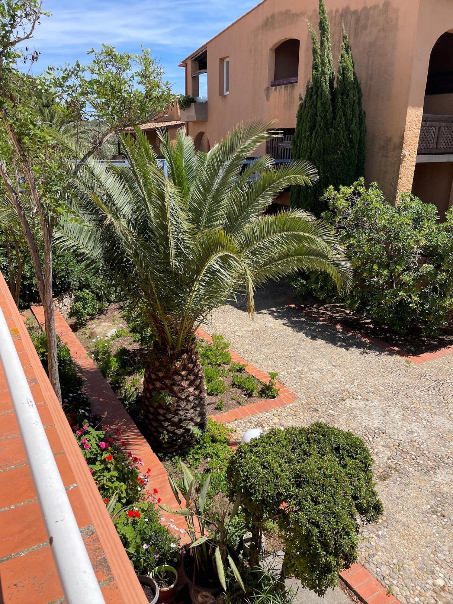 Apartment 4-6pers-piscine-parc Arbore *